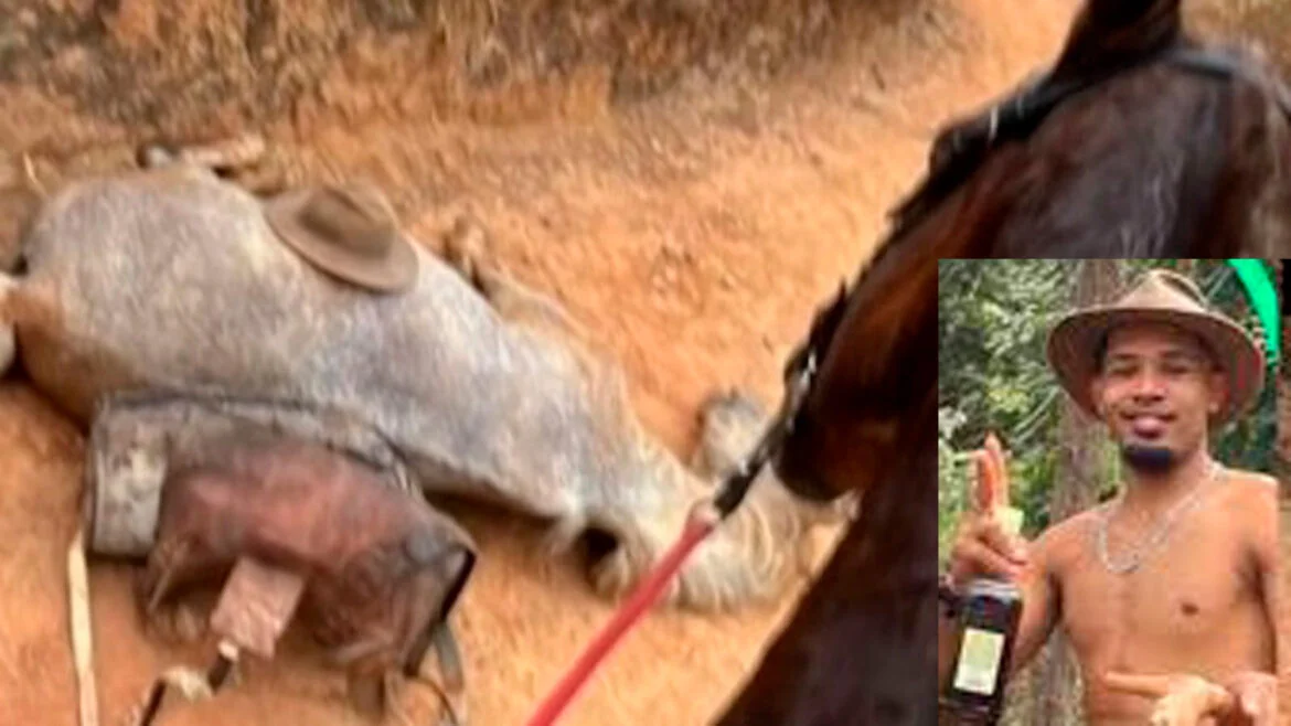 Cavalo tem as patas cortadas pelo dono após cavalgada em SP