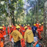 Brigadas do PREVFOGO/IBAMA no Amazonas passam por treinamento no uso seguro de motoserra