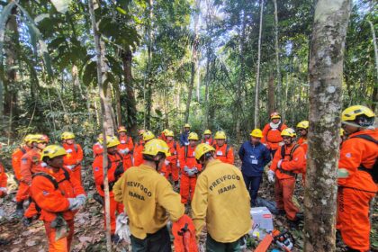 Brigadas do PREVFOGO/IBAMA no Amazonas passam por treinamento no uso seguro de motoserra
