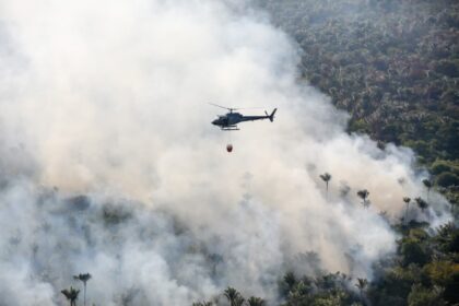 MPAM acompanha medidas de combate a crimes ambientais em Barreirinha