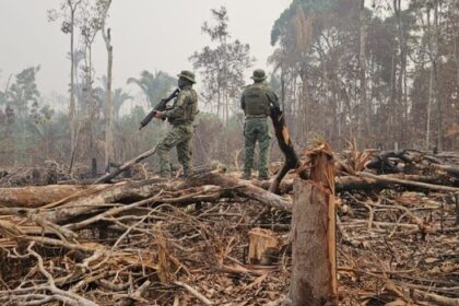 IBAMA vistoria área de proteção ambiental em Manaus