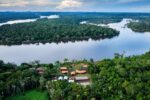 BNDES lança edital voltado para recuperação da floresta amazônia