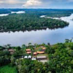 BNDES lança edital voltado para recuperação da floresta amazônia