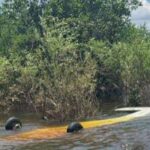 FAB intercepta aeronave suspeita procedente do Peru