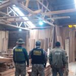 Ipaam aplica R$ 1,39 milhão em multas por crimes ambientais durante Operação Força Tarefa Amazônia