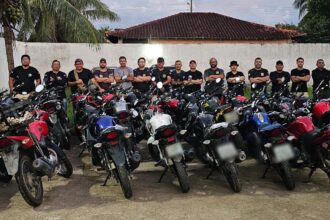 Polícia recupera 264 veículos roubados/furtados e prende 64 pessoas de janeiro a agosto