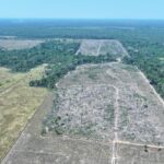 Ipaam aplica mais de R$ 30 milhões em multas na 4ª etapa da Operação Tamoiotatá 5