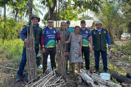 Iniciativa promete produzir 9,6 mil mudas que beneficiarão famílias rurais da região