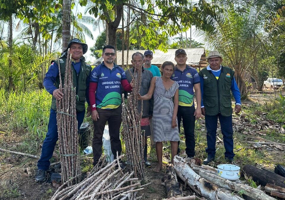 Iniciativa promete produzir 9,6 mil mudas que beneficiarão famílias rurais da região