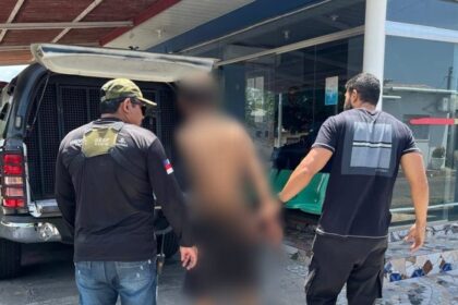 Homem é preso em flagrante por furtar, agredir e matar cachorro em Nhamundá
