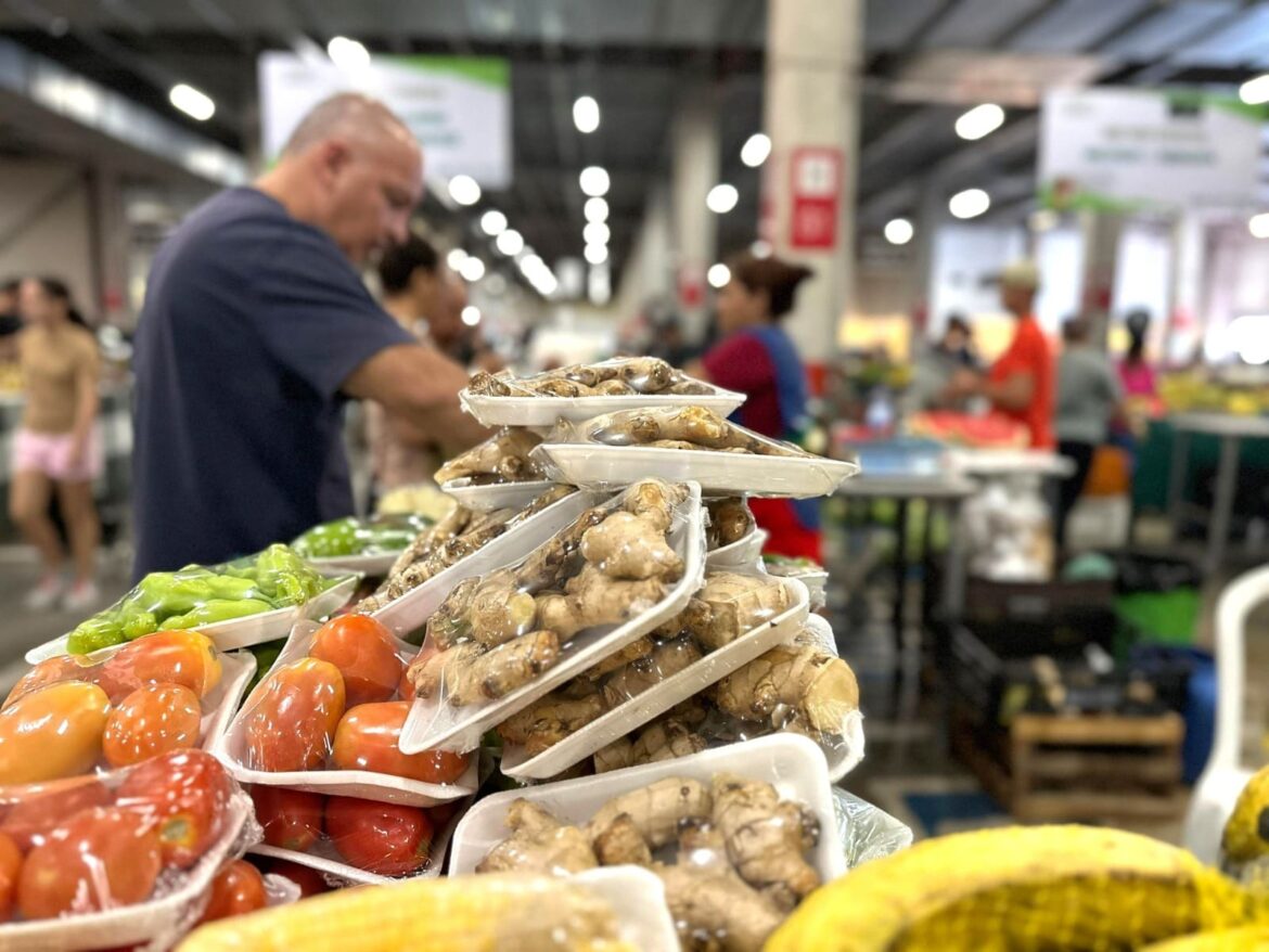 Expoagro 2025: ADS promove edição especial da Feira de Produtos Regionais