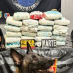 Polícia apreende quase 37 quilos de drogas em embarcação no interior do Amazonas