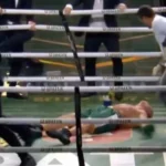 Luta entre Popó e Wanderlei termina em briga generalizada