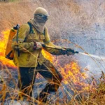 Raios provocam novo foco de incêndio na Chapada dos Veadeiros
