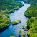 Amazonas registra menor número de focos de calor para setembro desde 2002, aponta Inpe