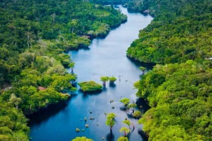Amazonas registra menor número de focos de calor para setembro desde 2002, aponta Inpe
