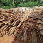 Ipaam e Batalhão Ambiental autuam dez empresas e aplicam R$ 7,3 milhões em multas durante Operação Região Metropolitana