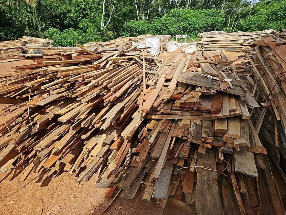 Ipaam e Batalhão Ambiental autuam dez empresas e aplicam R$ 7,3 milhões em multas durante Operação Região Metropolitana
