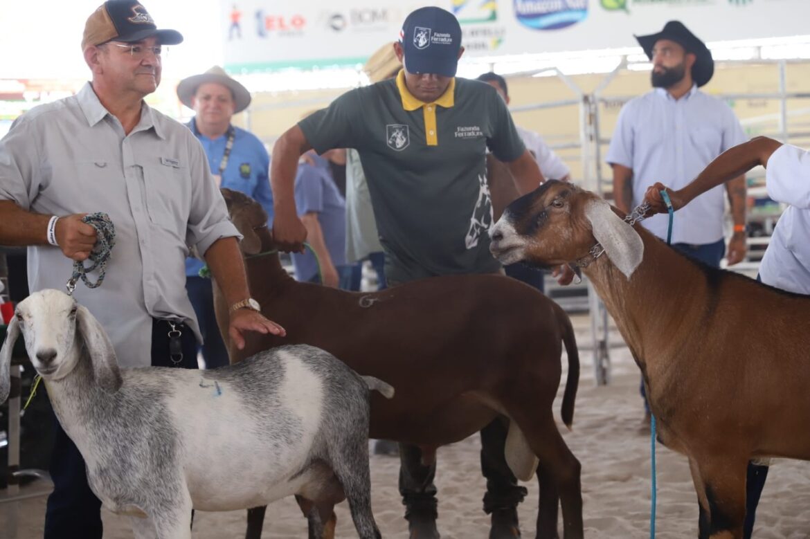 Expoagro 2025: primeiro Leilão Agropecuário arrecada R$ 337,9 mil e beneficia o Hospital de Amor