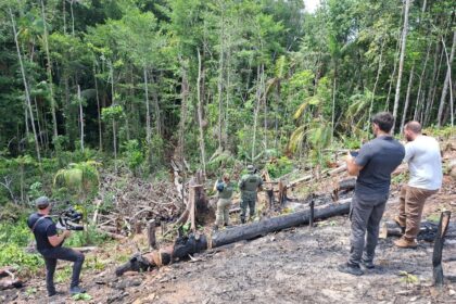 Fiscalização do Ipaam ganha destaque em documentário internacional de emissora chinesa