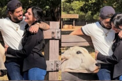 Zé Felipe e Ana Castela surgem em clima de romance nas redes sociais