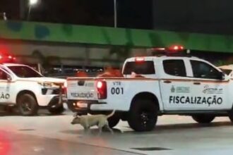 Motociclista sem capacete é preso após tentar fugir e agredir autoridades durante fiscalização 