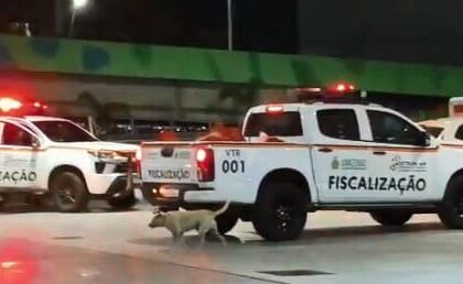 Motociclista sem capacete é preso após tentar fugir e agredir autoridades durante fiscalização