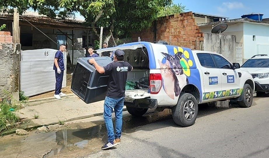 Mulher é presa por maus-tratos a dois cães no bairro Colônia Terra Nova