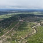 Posseiro é multado em mais de R$ 24,3 milhões pelo maior desmatamento do ano, em Borba