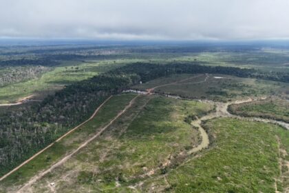 Posseiro é multado em mais de R$ 24,3 milhões pelo maior desmatamento do ano, em Borba