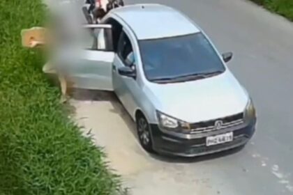 Polícia identifica mãe e filha que abandonaram filhotes de cachorro em matagal na zona norte de Manaus 