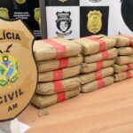 Denarc apreende cerca de 300 kg de drogas avaliados em R$ 5,5 milhões, em Manaus