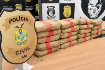 Denarc apreende cerca de 300 kg de drogas avaliados em R$ 5,5 milhões, em Manaus