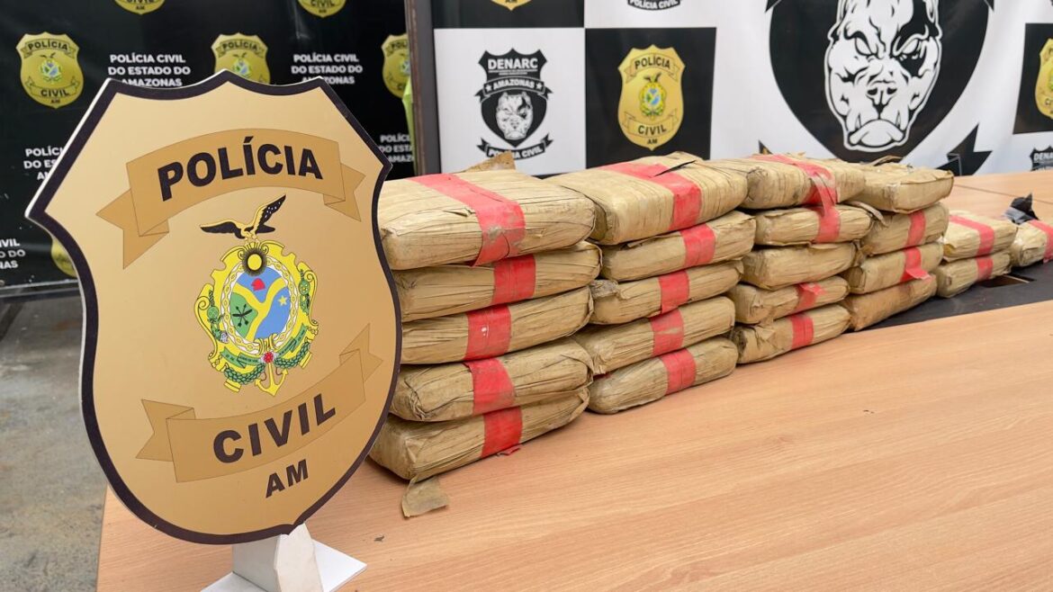 Denarc apreende cerca de 300 kg de drogas avaliados em R$ 5,5 milhões, em Manaus