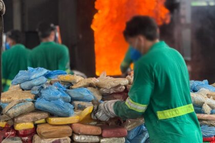 Polícia incinera quatro toneladas de entorpecentes apreendidos ao longo deste ano