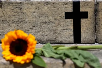 2025 já é o ano com maior número de feminicídios na capital paulista