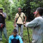 Pesquisa identifica os circuitos de extração e comercialização do açaí e do mapati na Tríplice Fronteira