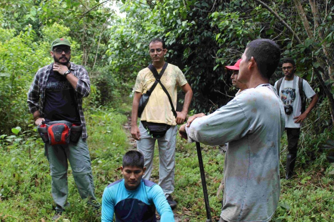 Pesquisa identifica os circuitos de extração e comercialização do açaí e do mapati na Tríplice Fronteira