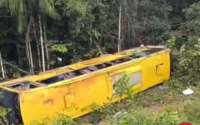 Vídeo: ônibus tomba em barranco na BR-319 em Humaitá e passageiros são resgatados