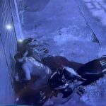 Vídeo: homem é preso após mat@r cachorro estrangulado em Borba