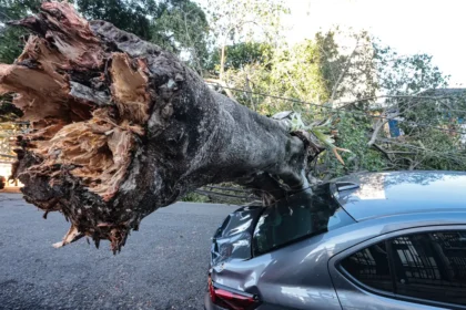 São Paulo enfrenta ventos de quase 100 km/h nesta quarta-feira