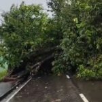 Chuva em Manaus gera 17 ocorrências atendidas pela Defesa Civil