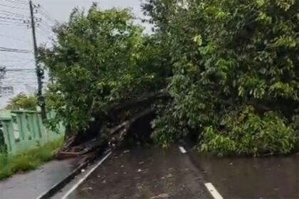 Chuva em Manaus gera 17 ocorrências atendidas pela Defesa Civil
