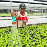 Prefeitura de Manaus e Ufam firmam acordo para capacitação de agricultores familiares