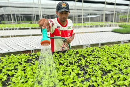 Prefeitura de Manaus e Ufam firmam acordo para capacitação de agricultores familiares