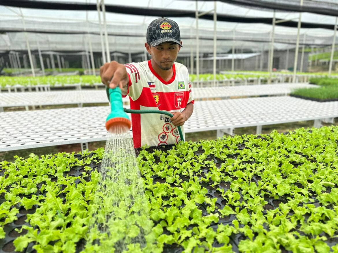 Prefeitura de Manaus e Ufam firmam acordo para capacitação de agricultores familiares