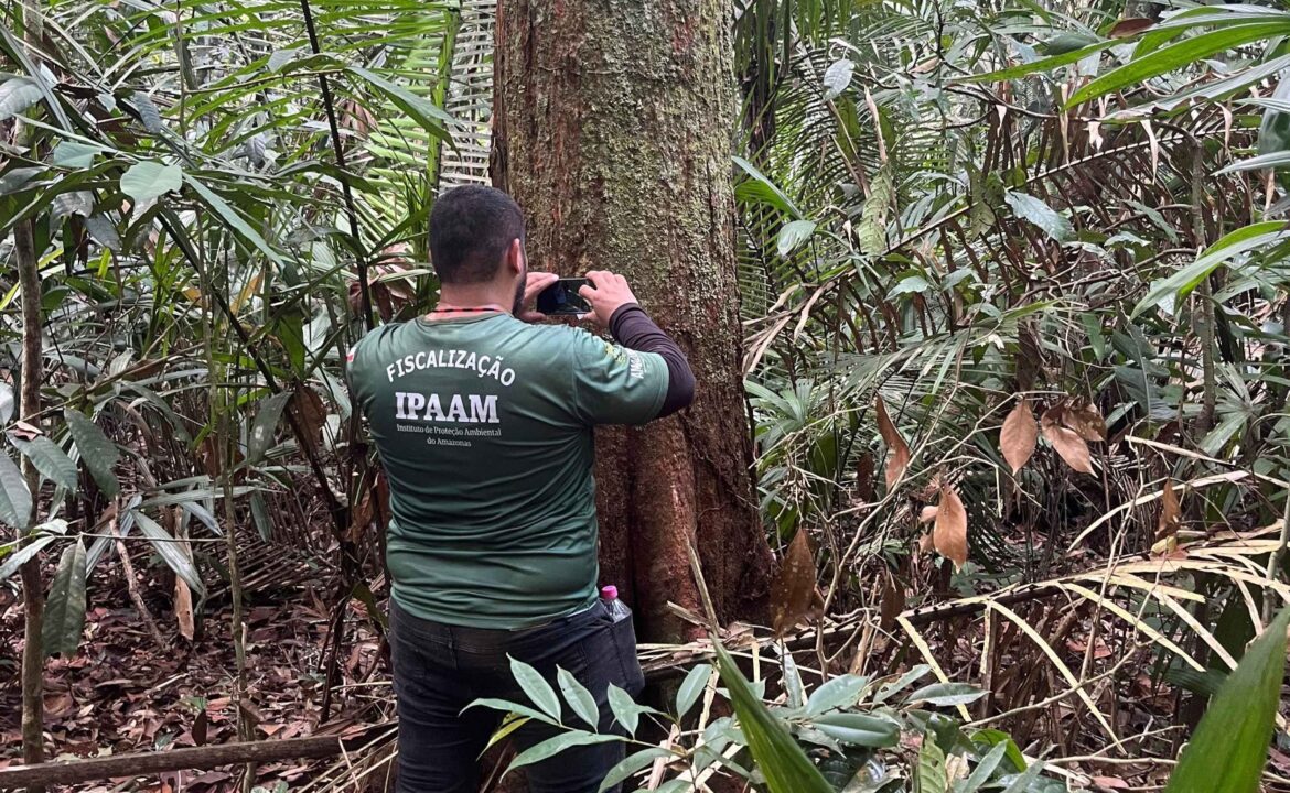 Período do Defeso Florestal inicia nesta quinta-feira no Amazonas