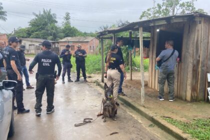 Amazonas obteve a maior redução da taxa de homicídio dentre as 27 Unidades da Federação