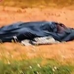 Corpo é encontrado por trabalhadores na rodovia AM-352