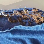 Irmãos são presos em flagrante por tentativa de introduzir drogas na carceragem, em Novo Airão